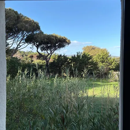 Lejlighed Cap Camarat Ramatuelle